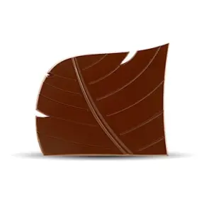 moule-a-embouts-de-buche-forme-feuille-6-empreintes-1-1509090431