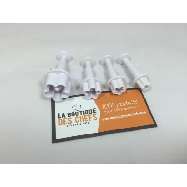 Jeu de 4 découpoirs forme fleur