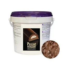 croustillant-chocolat-au-praline-petillant-en-4-kg-1-1532509097