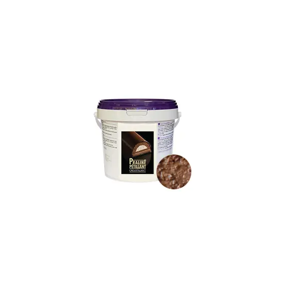 croustillant-chocolat-au-praline-petillant-en-4-kg-1-1532509097