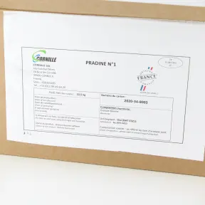 graisse-bovine-raffinee-pradine-pour-frites-et-fritures-par-10-kg-2-1612801328
