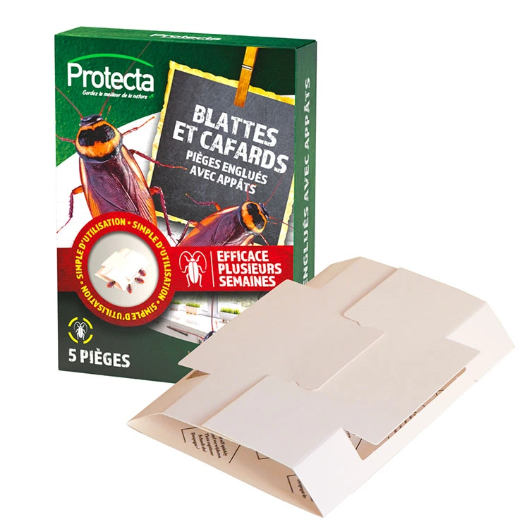 Piège à Insectes | Lutte Contre Les Blattes | Cafards