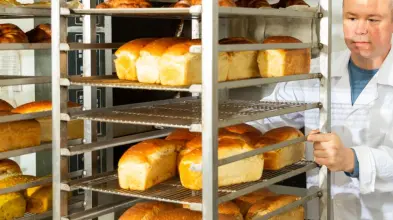 Echelles, grilles et chariots de fermentation