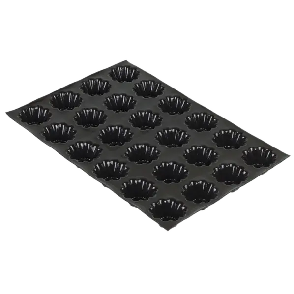 phpcM1E0v_masked