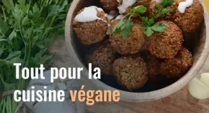 2023-05-16-cuisine-vegan