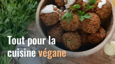 2023-05-16-cuisine-vegan
