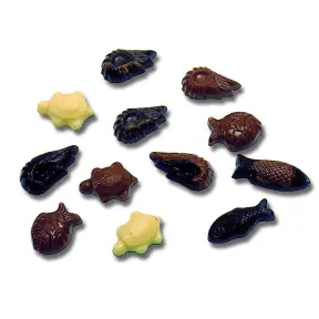 convert_5336_1751307020