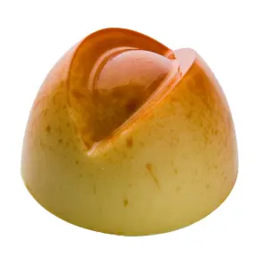 convert_5588_1751307077