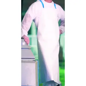convert_6356_1751307126