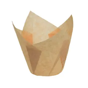 convert_12147_1751308132