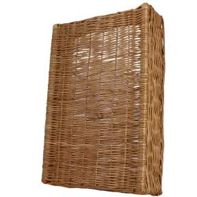 php4TnGqY_masked