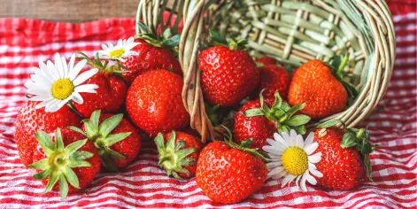 recette_fraise