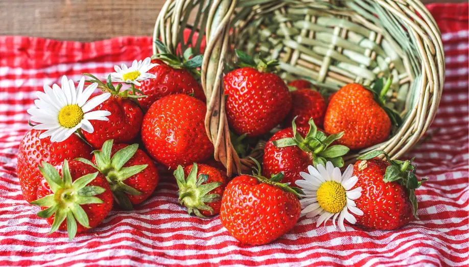 5 idées de recettes originales à base de fraises