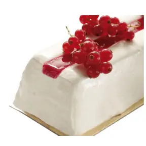 10 Gouttières à bûche rainurées thermophormé MATFER 60x40
