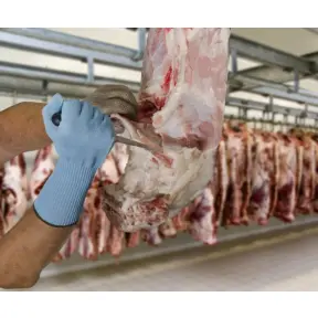 Gants anti coupure krytech 83 Mapa