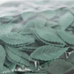 500 feuilles vert foncé en azyme