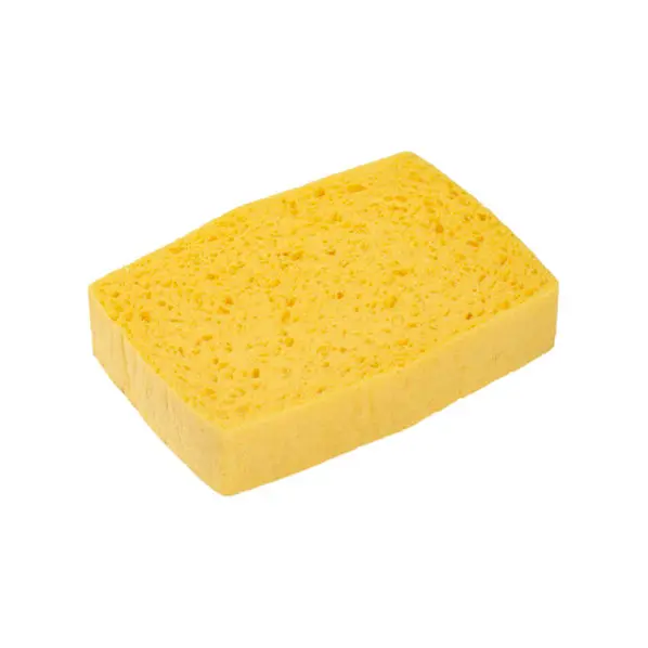 10 éponges végétales Spontex