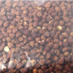 Noisettes brutes pour pâtisserie 1 kg - 3
