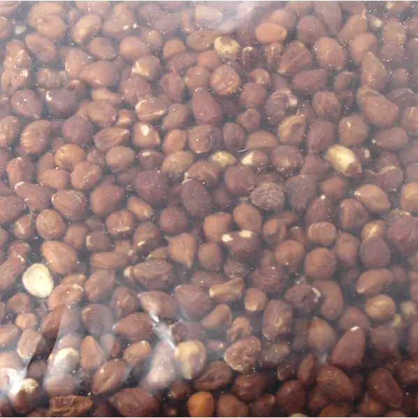 Noisettes brutes pour pâtisserie 1 kg