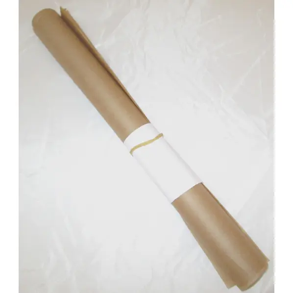 10 feuilles de papier cuisson Biodégradable 53x32 cm